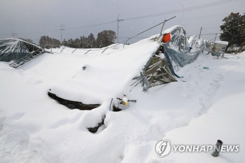 2018년 2월 폭설에 무너진 제주 서귀포시 남원읍 비닐하우스[연합뉴스 자료사진]