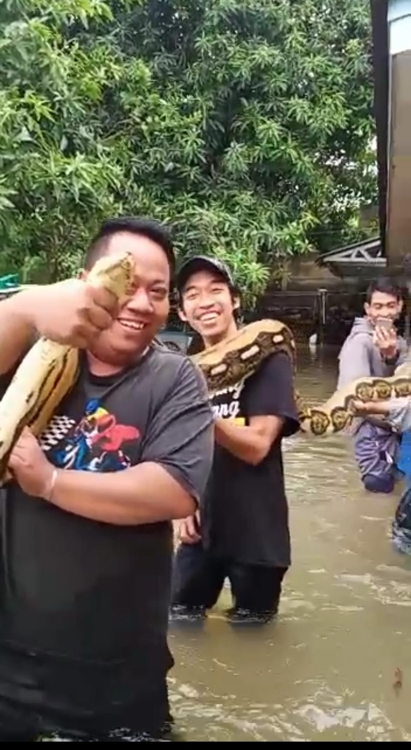 홍수로 도심에 떠내려온 뱀[SNS 동영상 캡처]