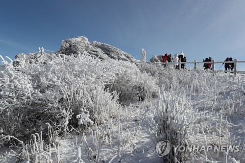 덕유산 정상에 상고대 만발(무주=연합뉴스) 조보희 기자 = 눈이 귀한 올 겨울 들어 보기 어렵던 상고대가 9일 덕유산 향적봉에 만개해 관광객들의 탄성을 자아냈다. 2020.1.9 jobo@yna.co.kr