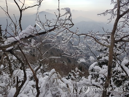 설악 겨울왕국(인제=연합뉴스) 서명곤 기자 = 12일 강원도 설악산 서북능선 일대가 눈으로 덮여 장관을 연출하고 있다. 2020.1.12 seephoto@yna.co.kr