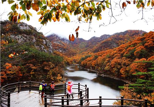 부안 직소폭포 일원[문화재청 제공]