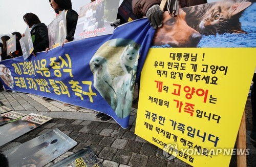 '개와 고양이는 가축이 아니라 가족입니다'(서울=연합뉴스) 이재희 기자 = 19일 오후 청와대 분수대 앞에서 1500만반려인연대 회원들이 개를 가축에서 제외하는 축산법 등 동물 관련 법안 국회 통과를 촉구하는 기자회견을 열고 있다. 2020.1.19 scape@yna.co.kr