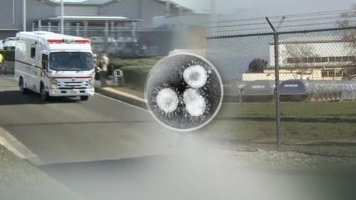 신종코로나 확산자료 사진