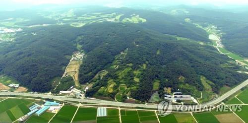 통합신공항 의성 비안·군위 소보 공동후보지[연합뉴스 자료사진]