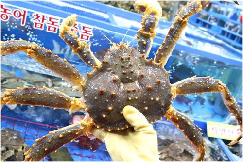 "중국 수산시장 폐쇄에 킹크랩 한국으로…가격 30% 이상 폭락"[연합뉴스 자료 사진]