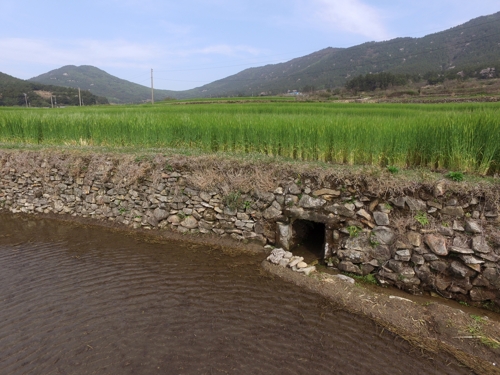 구들장논[완도군 제공·재판매 및 DB 금지]