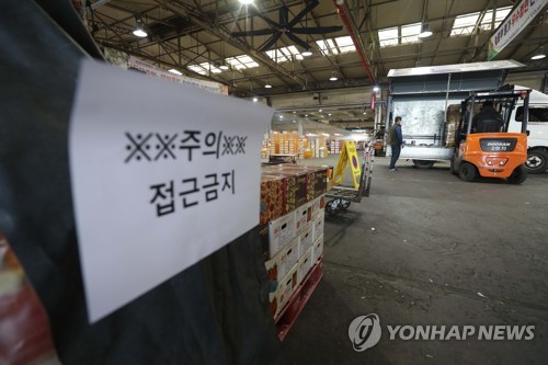 '코로나19'에 텅빈 대구 청과시장(대구=연합뉴스) 김현태 기자 = 20일 오전 신종 코로나바이러스 감염증(코로나19) 확진자의 가족이 근무한 것으로 알려진 대구시 북구 대구농수산물도매시장이 방역작업을 위해 과일을 모두 빼내고 있다. 확진자 가족이 일한 곳에는 접근금지 안내문이 붙어 있다. 2020.2.20 mtkht@yna.co.kr