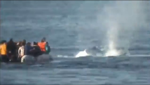 이주민 보트 인근에 그리스 경비대원들이 쏜 총알이 떨어진 모습 [중동전문매체 '미들이스트아이' 소속 라기프 소일루 통신원 트위터 캡처]