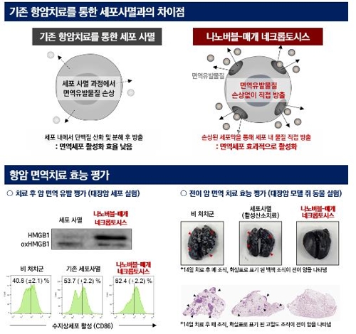 기존 항암치료와 나노기포 이용 암 치료의 차이[성균관대 박재형 교수 제공. 재판매 및 DB 금지]