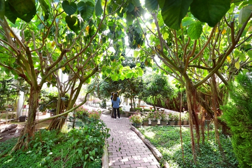 20인 이상 단체는 예약하면 원예 박사인 남기중 원장의 꼼꼼하고 흥미로운 설명과 안내로 더욱 알차게 둘러볼 수 있다. [사진/조보희 기자]