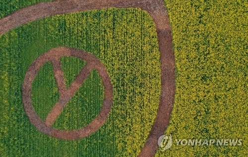 '투표하세요'(부산=연합뉴스) 손형주 기자 = 29일 오후 부산 강서구 대저생태공원 유채꽃밭에 부산시 선관위가 투표 참여를 독려하기 위해 조성한 기표 마크 탐방로가 모습을 드러내고 있다. 2020.3.29 handbrother@yna.co.kr