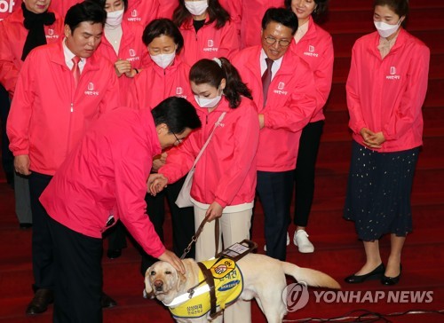 시각장애인 안내견 쓰다듬는 황교안미래통합당 황교안 대표가 3월 1일 국회 로텐더홀 홀 앞 계단에서 열린 미래한국당과의 '나라살리기·경제살리기' 공동 선언식에서 한국당 비례대표 후보인 시각장애인 김예지 씨의 안내견 조이를 쓰다듬고 있다. [연합뉴스 자료사진]