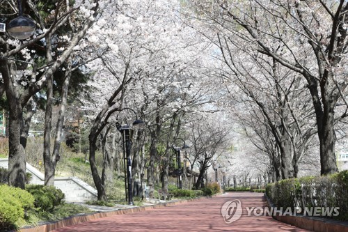 신종코로나바이러스 감염증(코로나19) 확산 예방을 위해 일시 폐쇄된 서울 송파구 석촌호수[연합뉴스 자료사진]