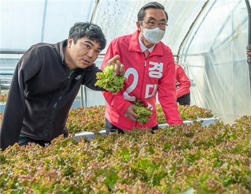 농촌 일손돕기 나선 통합당 경대수 후보 [경대수 후보 제공. 재판매 및 DB 금지]