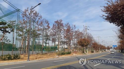 청주 산업단지 주변에 심은 나무들[충북도 제공. 재판매 및 DB 금지]