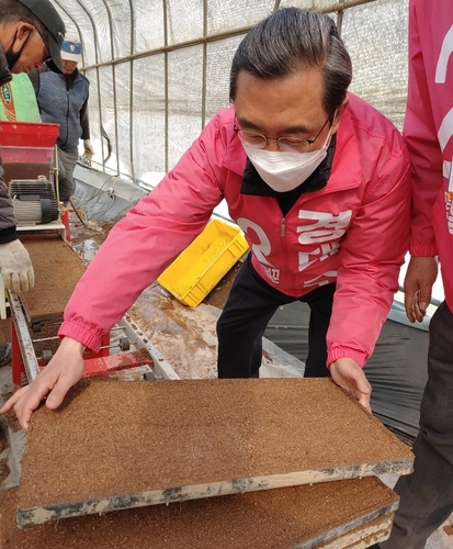 농촌 일손돕는 통합당 경대수 후보 [경대수 후보 제공. 재판매 및 DB 금지]