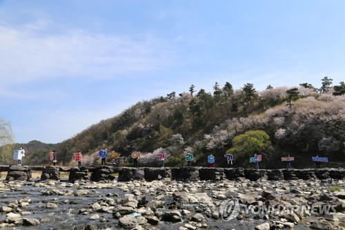 충북선관위 진천 농다리서 투표 참여 퍼포먼스(청주=연합뉴스) 충북도선거관리위원회는 13일 국내에서 가장 오래된 돌다리로 알려진 진천군 농다리에서 '4·15 총선' 대국민 투표 참여 호소 퍼포먼스를 펼쳤다. 2020.4.13 [충북도선거관리위원회 제공. 재판매 및 DB 금지] ywy@yna.co.kr