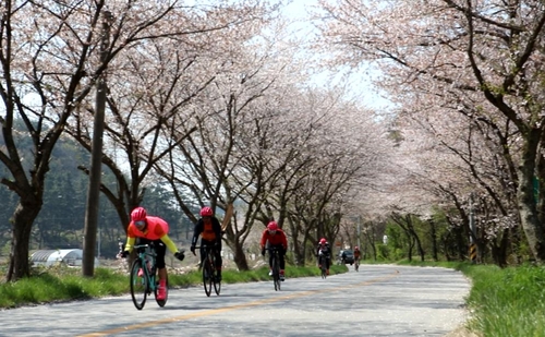 도로를 달리는 안산도시공사ARB팀[안산도시공사 제공. 재판매 및 DB 금지]