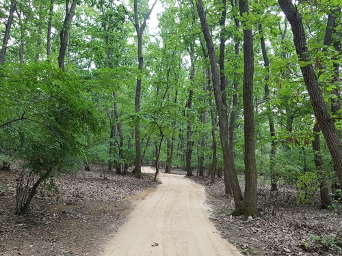 파주 장릉 숲길[문화재청 제공. 재판매 및 DB 금지]