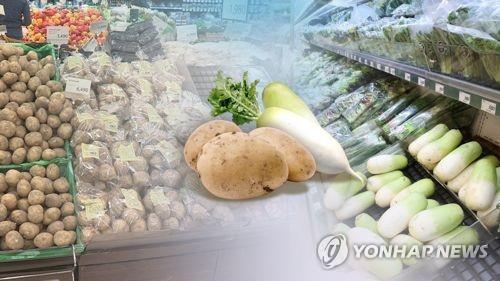 물가(CG)[연합뉴스TV 제공]