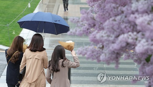 봄비 내려요[연합뉴스 자료사진]