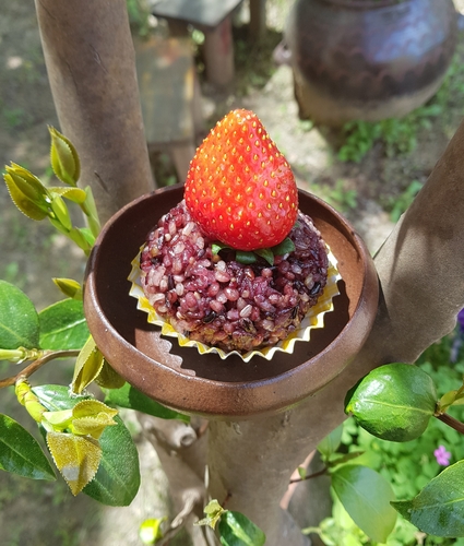 광주 북구 특산품으로 만든 주먹밥[광주 북구청 제공. 재판매 및 DB 금지]