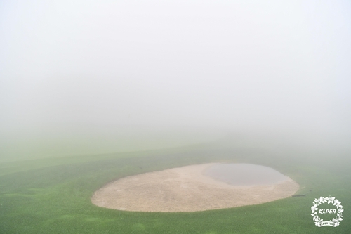 안개가 자욱한 14일 엘리시안 제주 9번 홀의 그린 주변[KLPGA 제공. 재판매 및 DB 금지]
