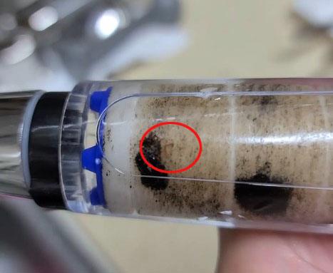 수돗물에서 나온 유충[인천 서구 지역 맘카페 갈무리. 재판매 및 DB 금지]