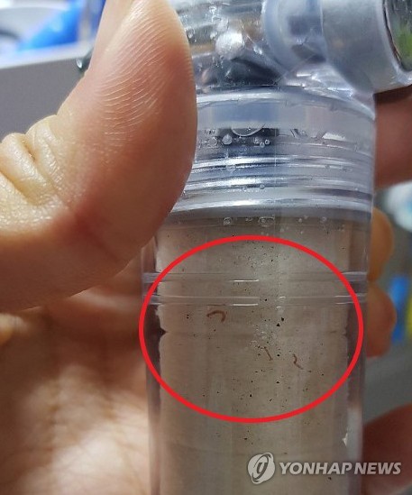 샤워기 속 수돗물에 떠 있는 유충(인천=연합뉴스) 지난해 붉은 수돗물 사태가 벌어진 인천 서구 일대에서 이번에는 수돗물에 유충이 나왔다는 민원이 잇따라 제기돼 당국이 원인 조사에 나섰다.
    서부수도사업소는 서구 일대에 수돗물을 공급하는 공촌정수장 자체 문제가 아닌 외부 유입에 의해 수돗물에서 유충이 나온 것으로 추정하고 정밀 조사를 진행하고 있다.
    사진은 샤워기 속 수돗물에 떠 있는 유충 모습. 2020.7.13 [독자 제공. 재판매 및 DB 금지] son@yna.co.kr
