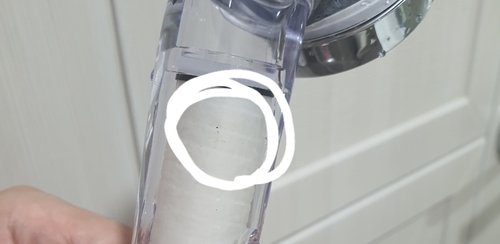 서울 중랑구에서 발견된 수돗물 유충[독자 제공. 재판매 및 DB 금지]