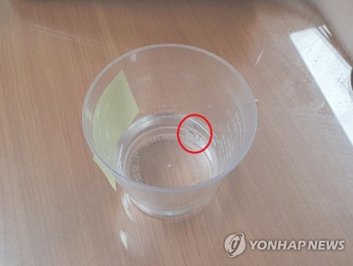 부산서도 수돗물 유충 신고(부산=연합뉴스) 인천과 경기, 서울 수돗물에서 유충(어린 벌레)이 발견됐다는 신고가 잇따르는 가운데 부산 수돗물에서도 비슷한 내용의 의심 신고가 잇따라 부산시가 조사에 나섰다. 상수도본부는 정수 생산이나 공급 과정에서 유충이 발생했을 개연성은 낮은 것으로 보고 가정 내 배수구나 하수구, 저수조, 물탱크 등지에서 유충이 발생한 것으로 추정했다. 사진은 부산 지역 수돗물에서 발견된 깔따구. [부산시 상수도사업본부. 재판매 및 DB 금지] handbrother@yna.co.kr