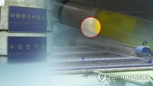 수돗물 유충 검출 잇달아…원인파악 장기화 (CG)[연합뉴스TV 제공]