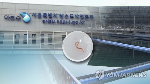서울도 '수돗물 유충' 잇단 신고…수도본부 조사중 (CG)[연합뉴스TV 제공]