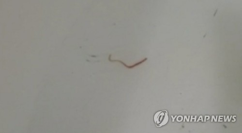서울 동작구에서도 수돗물 유충 발견 의심사례 신고[독자 제공. 재판매 및 DB금지]