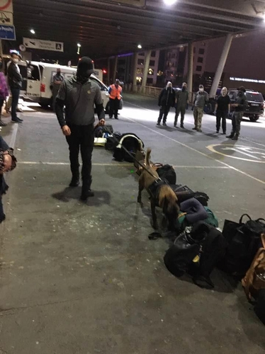 공항 폐쇄 속 도로변서 개로 특별기 짐 검사 (요하네스버그=연합뉴스) 김성진 특파원 = 지난 19일 봉쇄령 속에 요하네스버그 공항 검색대도 제대로 가동 안 하는 가운데 공항 앞 도로변에 특별기 탑승자 짐을 벌여놓고 개를 동원해 검사하고 있다. sungjin@yna.co.kr