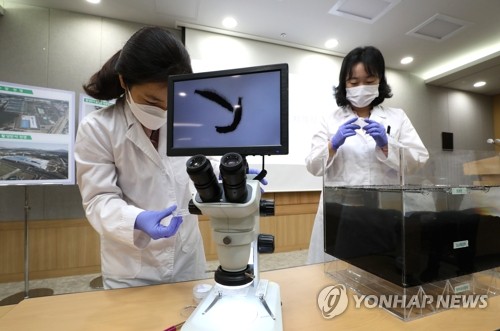 수돗물 유충 크기는...(서울=연합뉴스) 한상균 기자 = 28일 오전 서울시청에서 상수도사업본부장 관계자들이 기자회견 전 수돗물 유충 샘플을 준비하고 있다. 서울시는 수돗물 유충 민원은 정수과정이 아닌 외부요인에 의한 것이라고 밝혔다. xyz@yna.co.kr