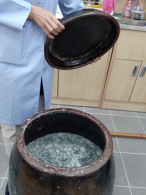 지류실에서 옹기 안에 배양 중인 밀가루풀 발효액. 밀가루를 물에 풀어 숙성시킨 것으로 거뭇거뭇한 빛깔의 곰팡이가 보인다. 이 곰팡이 층을 걷어내고 아래 맑은 용액을 건조해 나오는 흰 가루를 접착제로 쓴다.