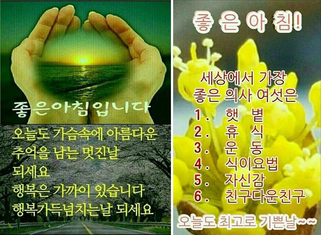 ‘좋은 아침’을 맞이 하라는 의미의 짤. 복붙(Ctrl+c Ctrl+v)된 듯한 상투적 표현에 어떤 답장을 해야 할지 고민이 깊어진다.