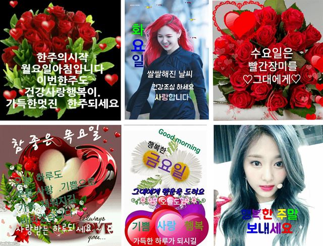 월요일부터 주말까지 요일 별 인사말 짤 모음.