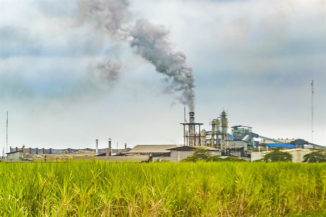 게티이미지뱅크