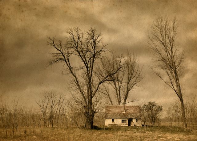 게티이미지뱅크.