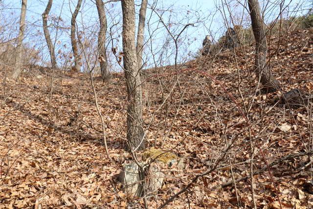 2002년 노래방 여주인의 시신이 발견된 충남 아산시 갱티고개 전경. 충남경찰청 제공
