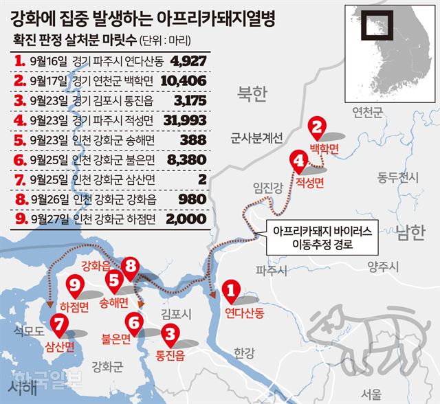 강화에 집중 발생하는 아프리카돼지열병. 그래픽=송정근 기자