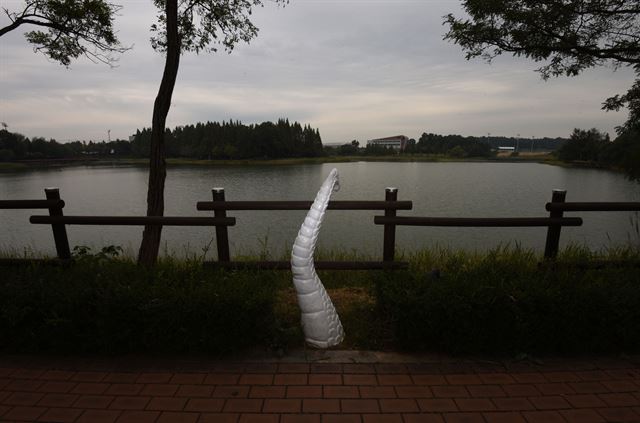 [김제 백룡] 20일 전북 김제시 문화체육공원 내 수변산책로에 백룡 조형물의 꼬리부분이 설치돼 있다.