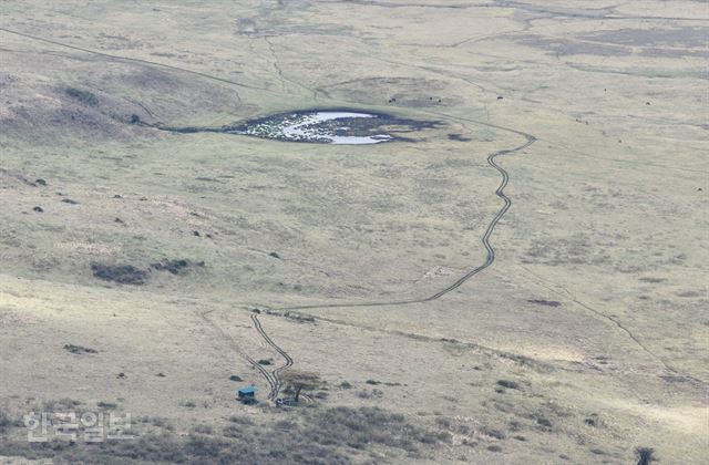 분화구 바닥보다 600m 높은 지점에 위치한 전망대에서 본 응고롱고로 초원. 대형 초식동물도 하나의 점으로 보인다.