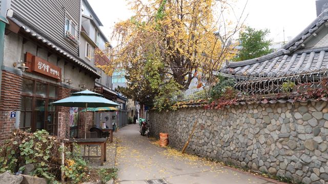 대구 근대골목 2코스 진골목 전경. 길다의 경상도 사투리 '질다'에서 기원한 이름으로, 골목 전체 길이는 100미터 남짓밖에 되지 않는다. 사라져가는 전통다방의 원형을 그대로 지키고 있는 '미도다방'과 1937년 민간 자본으로 지어진 최초의 서양식 주택인 갑부 서병직의 주택을 1947년 정필수 원장이 매입해 만든 정소아과 등을 만나볼 수 있다. 대구 중구 제공