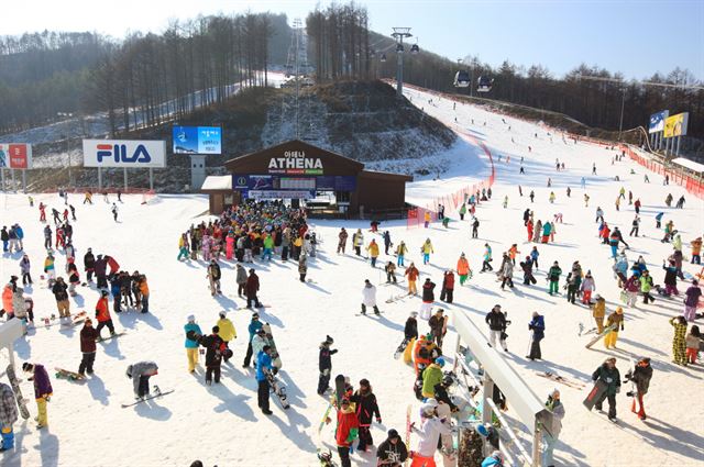 지난해 11월 개장한 강원 정선군 사북읍 하이원 스키장이 은빛 설원을 즐기려는 스키어들로 북적이고 있다. 강원랜드 제공