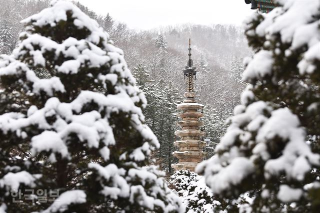 전각을 빼고 찍으면 깊은 산중에 탑 하나만 있는 듯 고고하다.