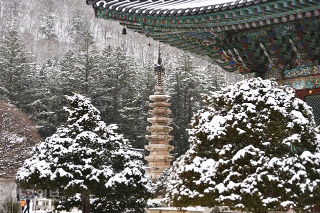 월정사 팔각구층석탑은 보는 방향에 따라 다른 모습으로 다가온다.