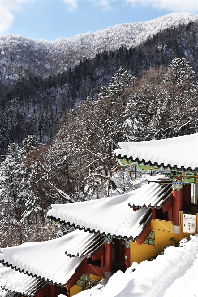 가파른 경사에 층층이 지은 중대 사자암 뒤로 새하얀 오대산 능선이 보인다.